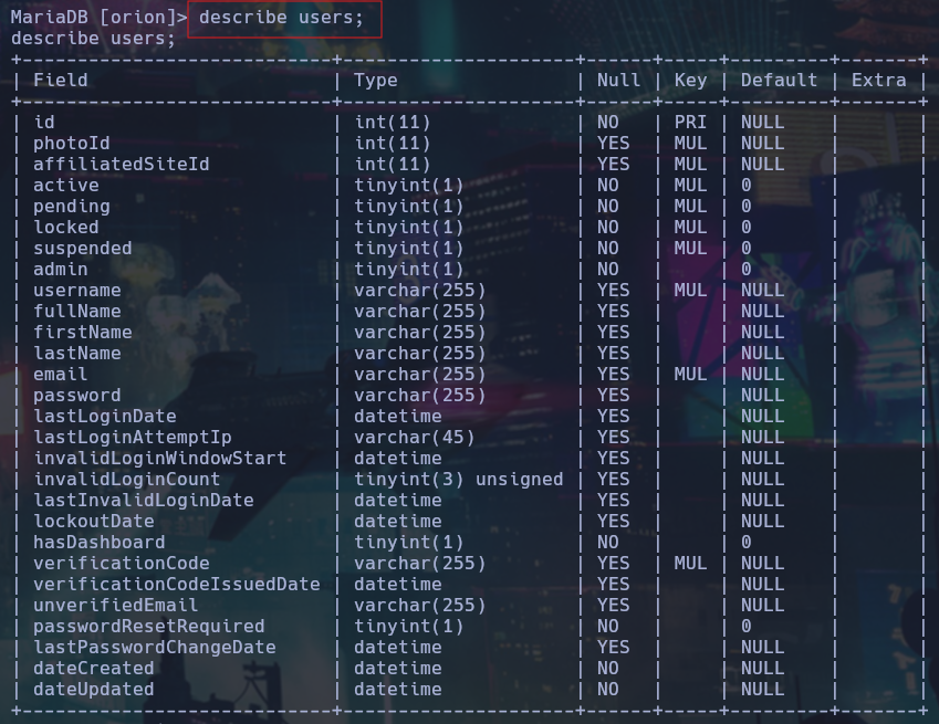 Estructura de la tabla de users